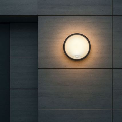 LED lauko sieninis šviestuvas su 2 viename jutikliu LED/20W/230V 3000/4000/6500K IP65 skersmuo 22 cm