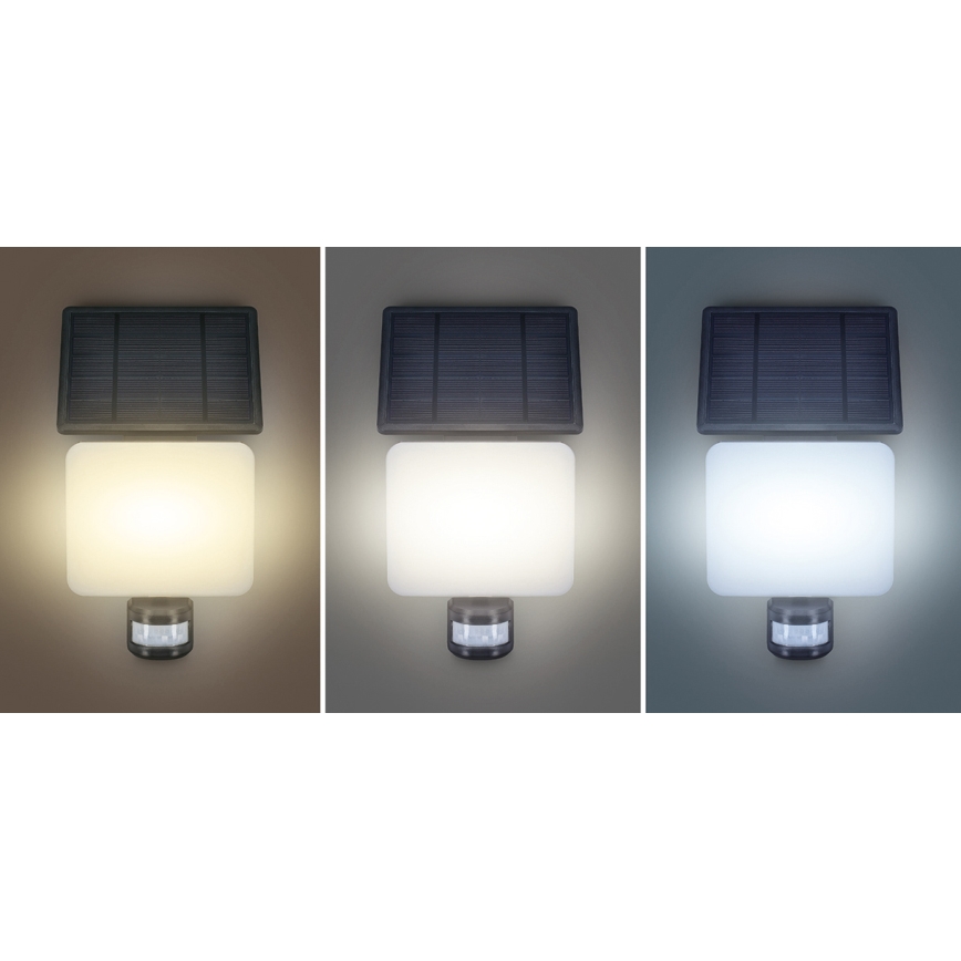LED Saulės energijos prožektorius su judesio jutikliu LED/11W/3,7V 4400mAh 3000K/4000K/6500K IP54