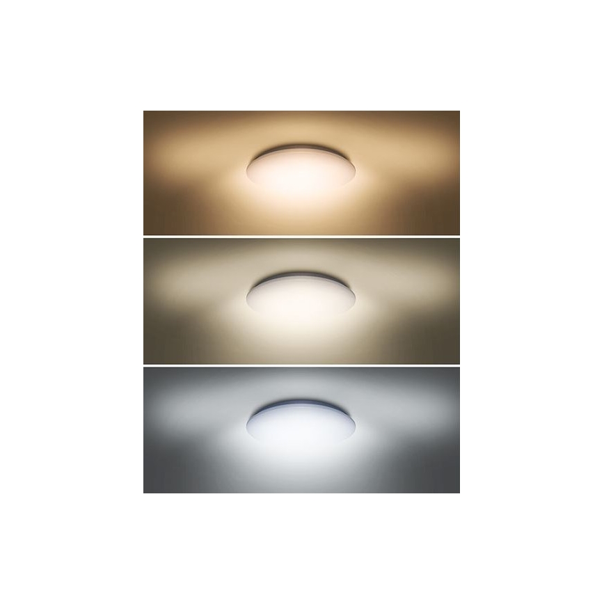 LED Lubinis šviestuvas PLAIN LED/24W/230V 3000K/4000K/6000K apvalus
