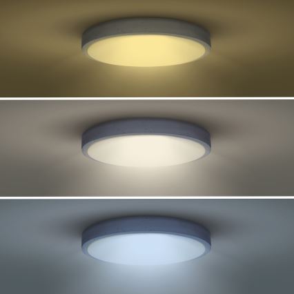 LED Pritemdomas lubinis šviestuvas GREY LED/60W/230V 3000-6500K pilka diametras 49 cm + nuotolinio valdymo pultas