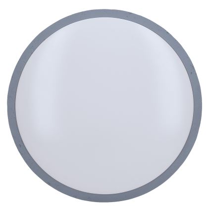 LED Pritemdomas lubinis šviestuvas GREY LED/60W/230V 3000-6500K pilka diametras 49 cm + nuotolinio valdymo pultas