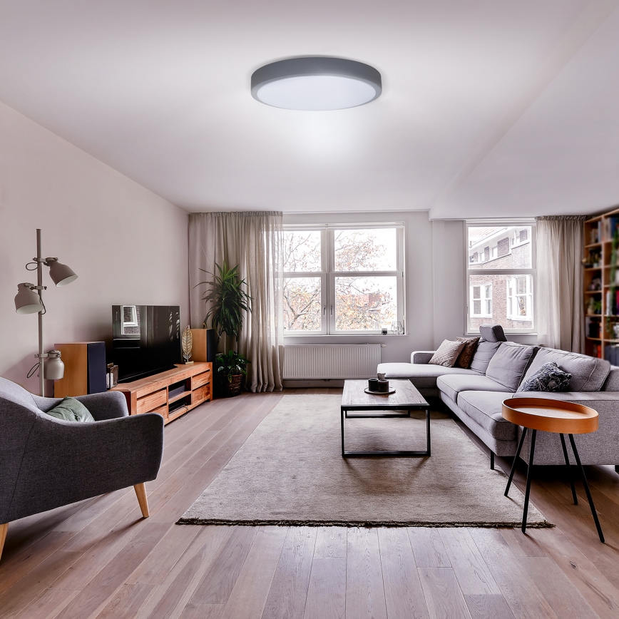LED Reguliuojamas lubinis šviestuvas GREY LED/60W/230V 3000-6500K pilka skersmuo 49 cm + nuotolinio valdymo pultas