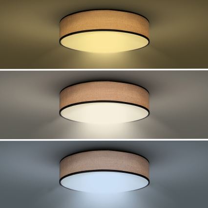 LED Pritemdomas lubinis šviestuvas BROWNIE LED/48W/230V 3000-6500K ruda diametras 40 cm + nuotolinio valdymo pultas