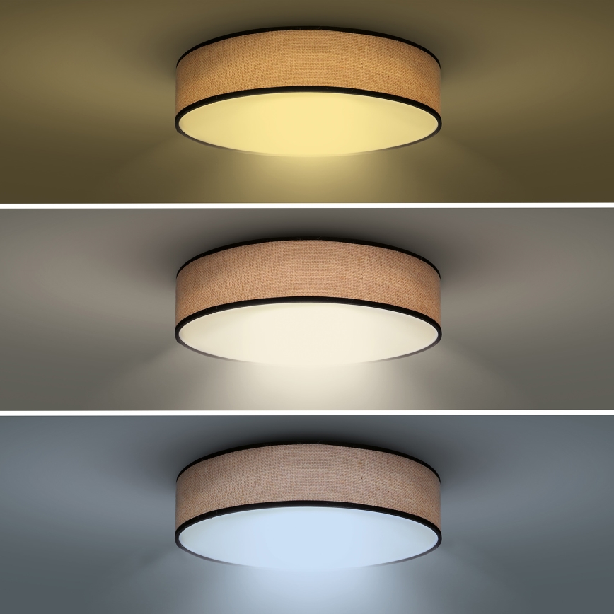 LED Pritemdomas lubinis šviestuvas BROWNIE LED/48W/230V 3000-6500K ruda diametras 40 cm + nuotolinio valdymo pultas