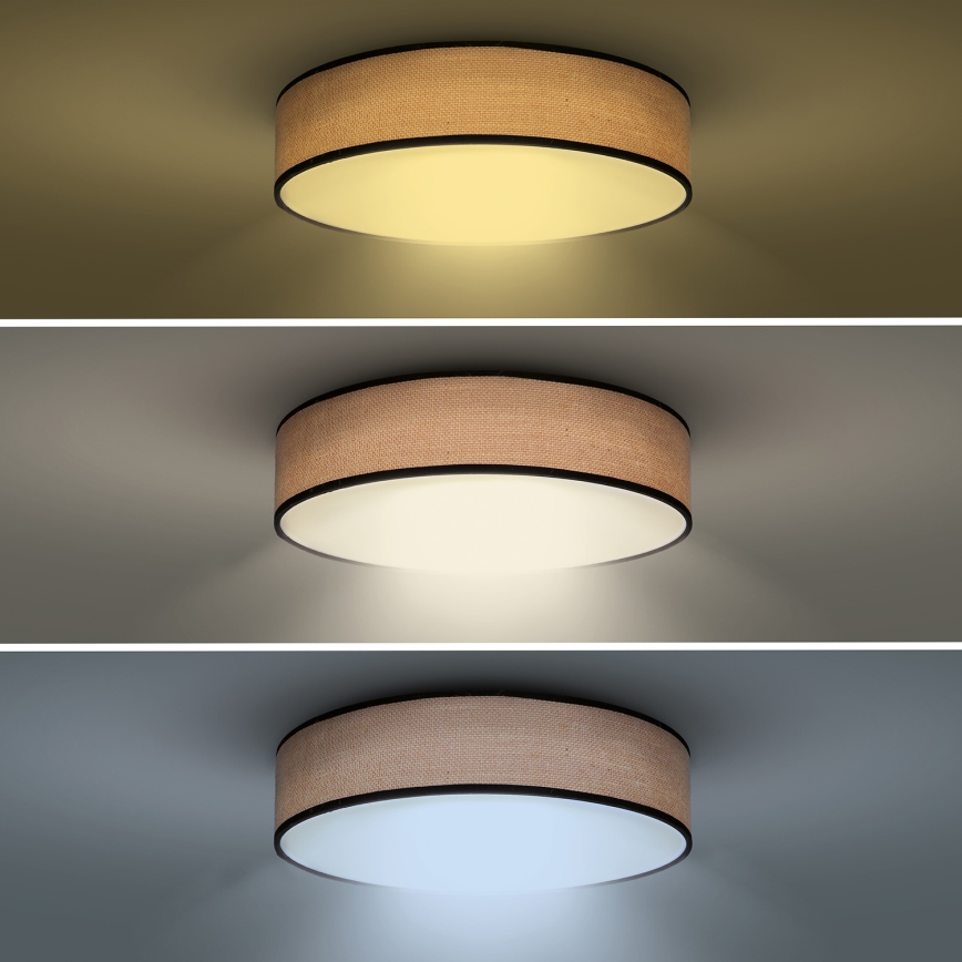 LED Pritemdomas lubinis šviestuvas BROWNIE LED/60W/230V 3000-6500K ruda diametras 50 cm + nuotolinio valdymo pultas