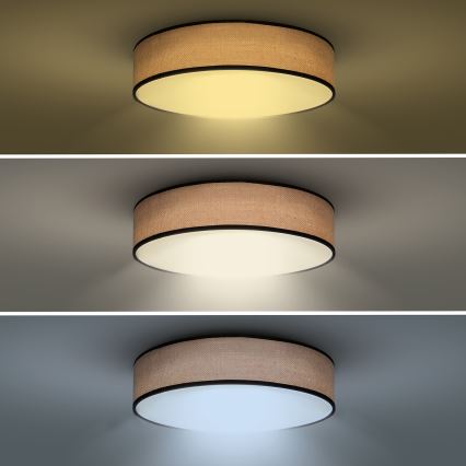 LED Reguliuojamas lubų šviestuvas BROWNIE LED/60W/230V 3000-6500K rudos spalvos, skersmuo 50 cm + nuotolinio valdymo pultas