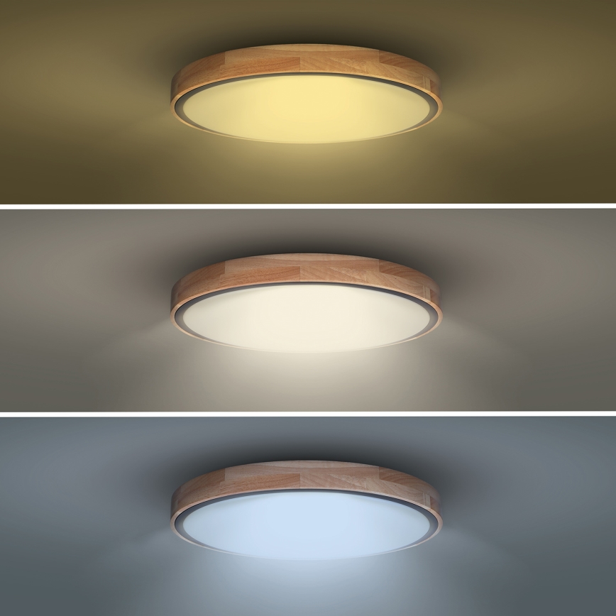 Dimeriuojamas LED lubinis šviestuvas IRON OAK LED/48W/230V 3000-6500K ąžuolas skersmuo 40 cm + nuotolinis pultelis