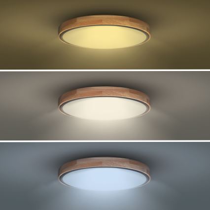 LED Pritemdomas lubinis šviestuvas IRON OAK LED/48W/230V 3000-6500K ąžuolas diametras 40 cm + nuotolinio valdymo pultas