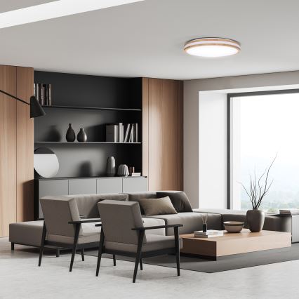 LED Pritemdomas lubinis šviestuvas WOODY LED/60W/230V 3000-6500K ąžuolas diametras 50 cm + nuotolinio valdymo pultas