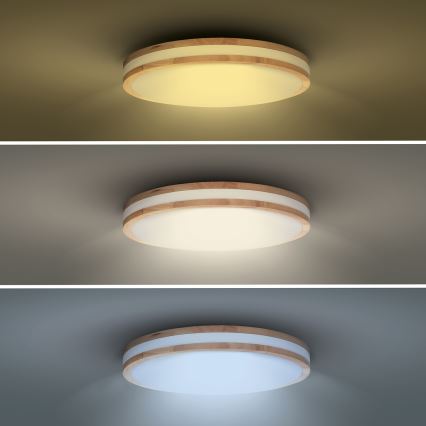 LED Pritemdomas lubinis šviestuvas WOODY LED/60W/230V 3000-6500K ąžuolas diametras 50 cm + nuotolinio valdymo pultas