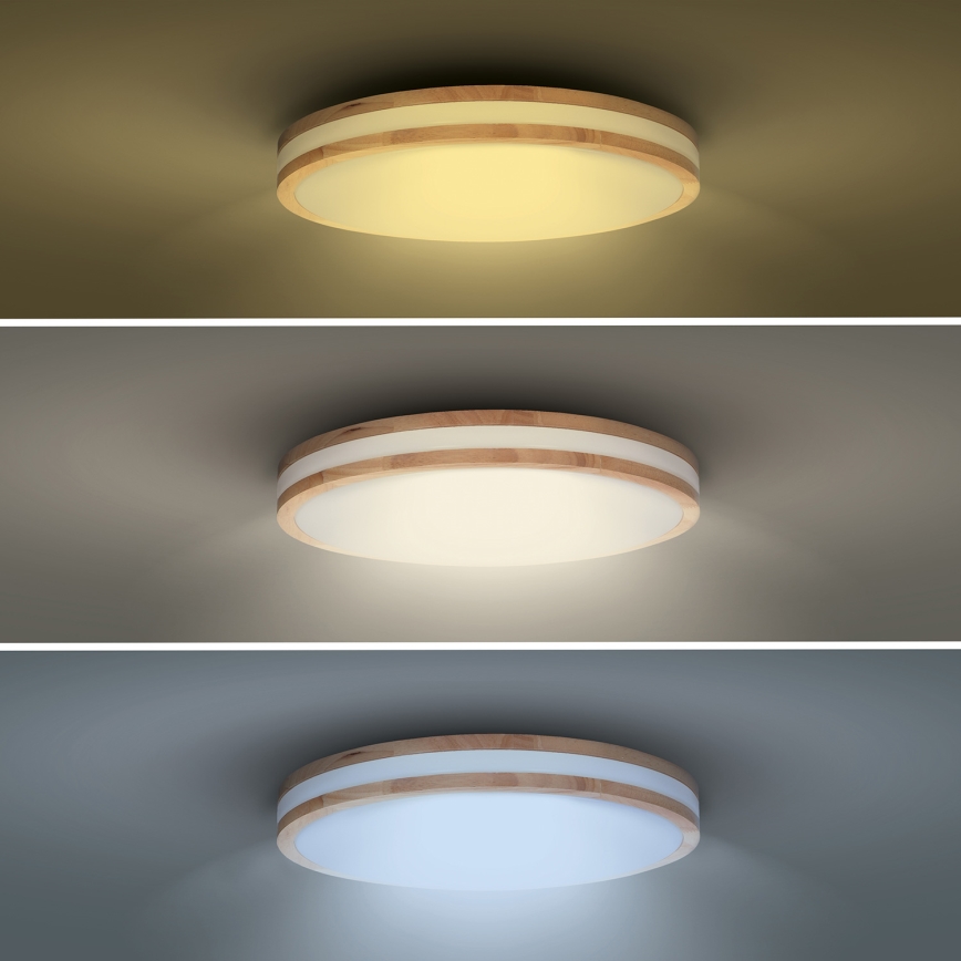 LED Pritemdomas lubinis šviestuvas WOODY LED/60W/230V 3000-6500K ąžuolas diametras 50 cm + nuotolinio valdymo pultas