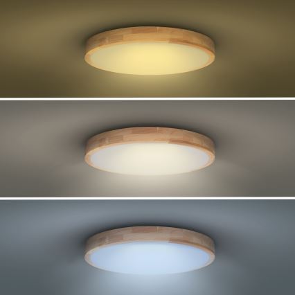 LED Pritemdomas lubinis šviestuvas SOLID OAK LED/48W/230V 3000-6500K ąžuolas diametras 39 cm + nuotolinio valdymo pultas