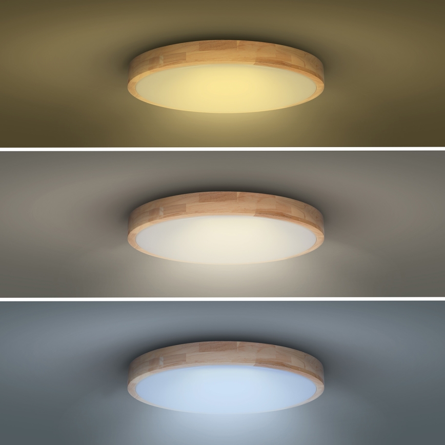 LED Pritemdomas lubinis šviestuvas SOLID OAK LED/48W/230V 3000-6500K ąžuolas diametras 39 cm + nuotolinio valdymo pultas