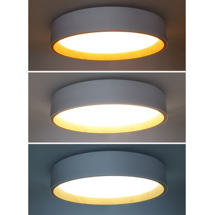 LED Pritemdomas lubinis šviestuvas LARIOS LED/48W/230V 3000-6500K diametras 39 cm balta + nuotolinio valdymo pultas