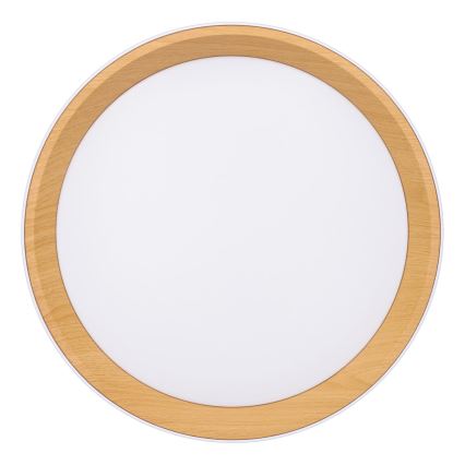 LED Pritemdomas lubinis šviestuvas LARIOS LED/48W/230V 3000-6500K diametras 39 cm balta + nuotolinio valdymo pultas