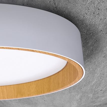 LED Pritemdomas lubinis šviestuvas LARIOS LED/48W/230V 3000-6500K diametras 39 cm balta + nuotolinio valdymo pultas