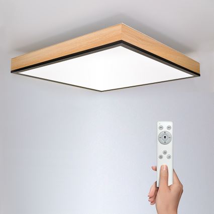 LED Reguliuojamas lubinis šviestuvas LED/40W/230V 3000-6500K + valdymo pultas