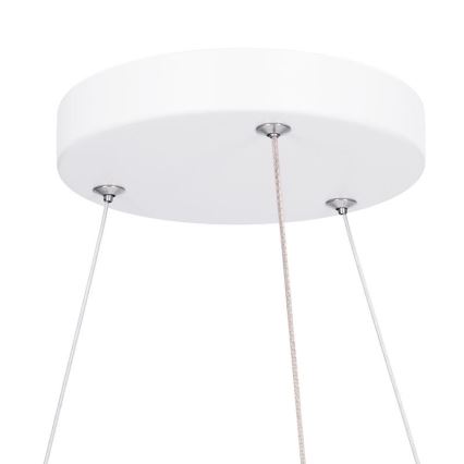 LED Dimeriuojamas lubų paviršinis pakabinamas šviestuvas LED/50W/230V 3000-6500K + nuotolinis valdymas
