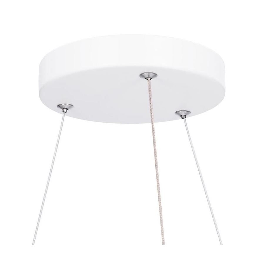 LED Dimeriuojamas lubų paviršinis pakabinamas šviestuvas LED/50W/230V 3000-6500K + nuotolinis valdymas