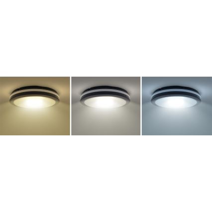 LED Pritemdomas lauko lubų šviestuvas LED/18W/22W/26W/230V 3000/4000/6500K IP65 juodas