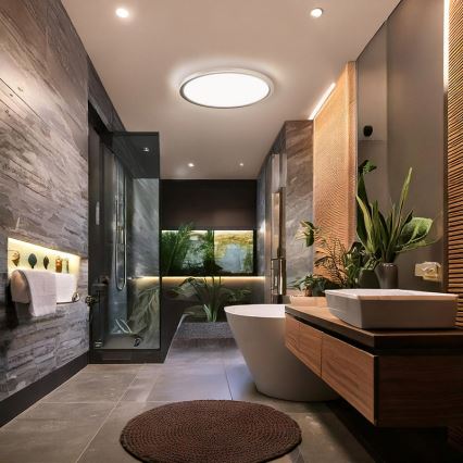 LED vonios kambario lubinis šviestuvas ACATE LED/18W/230V 3000/4000/6000K skersmuo 22 cm IP54