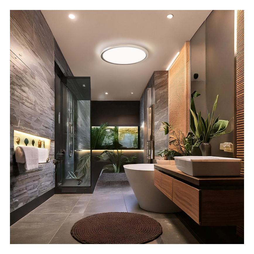 LED vonios kambario lubinis šviestuvas ACATE LED/18W/230V 3000/4000/6000K skersmuo 22 cm IP54