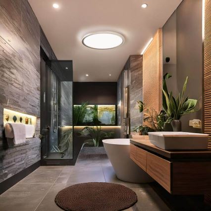 LED vonios kambario lubinis šviestuvas ACATE LED/24W/230V 3000/4000/6000K skersmuo 29,3 cm IP54