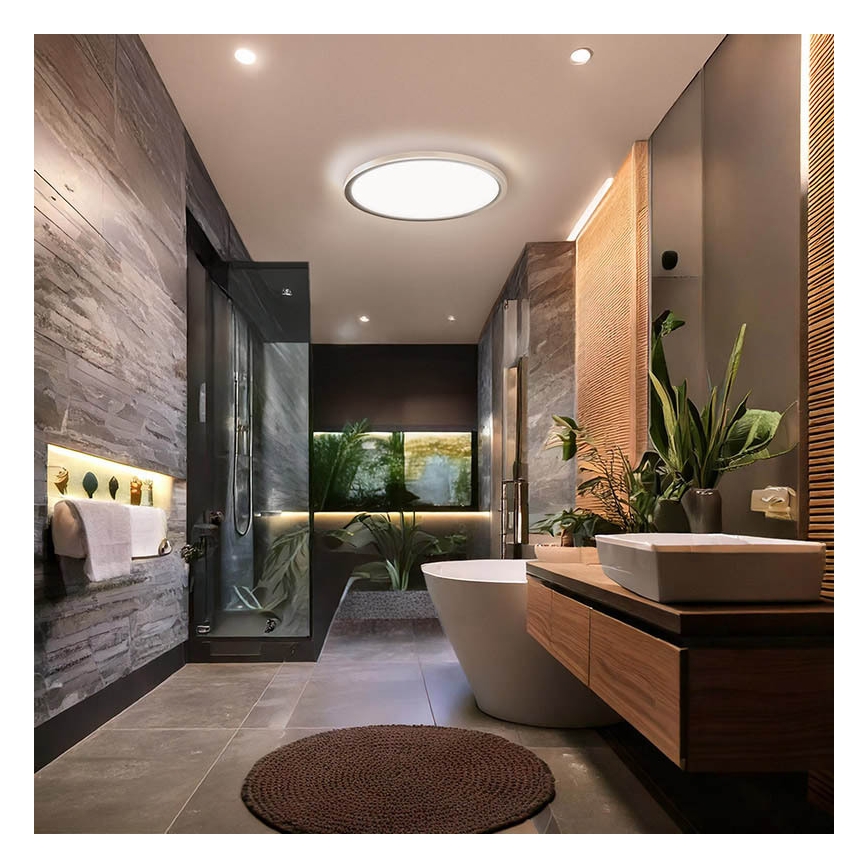 LED vonios kambario lubinis šviestuvas ACATE LED/24W/230V 3000/4000/6000K skersmuo 29,3 cm IP54