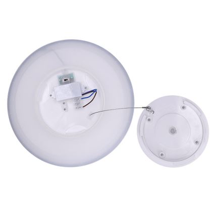 LED vonios kambario lubinis šviestuvas ACATE LED/24W/230V 3000/4000/6000K skersmuo 29,3 cm IP54