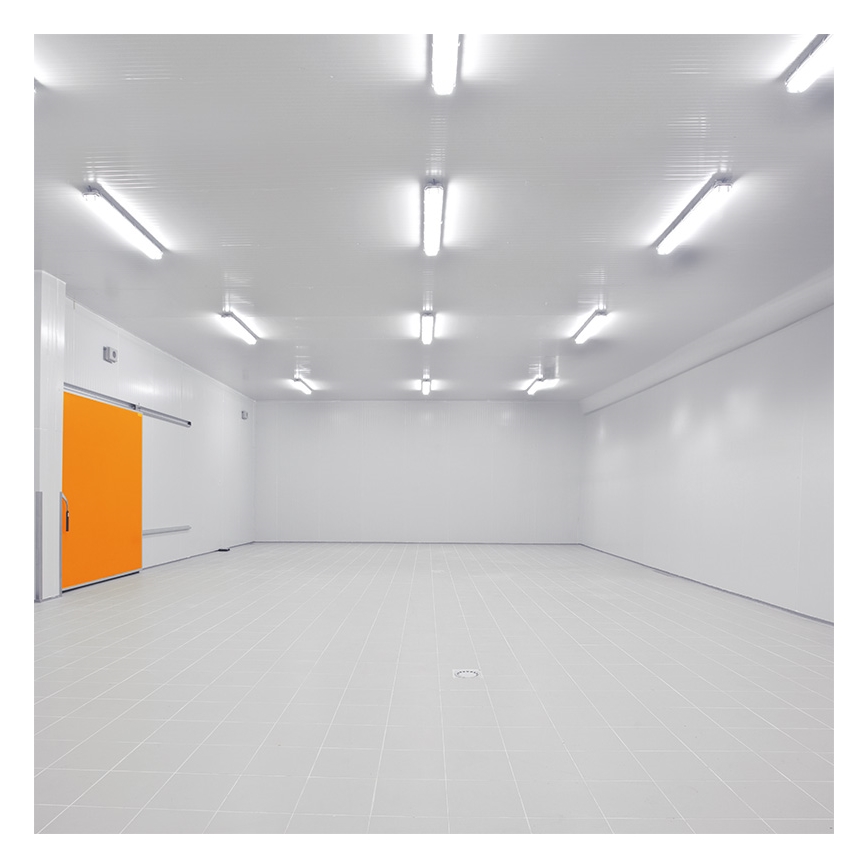 Didelio našumo LED šviestuvas LED/50W/230V 4000K IP65