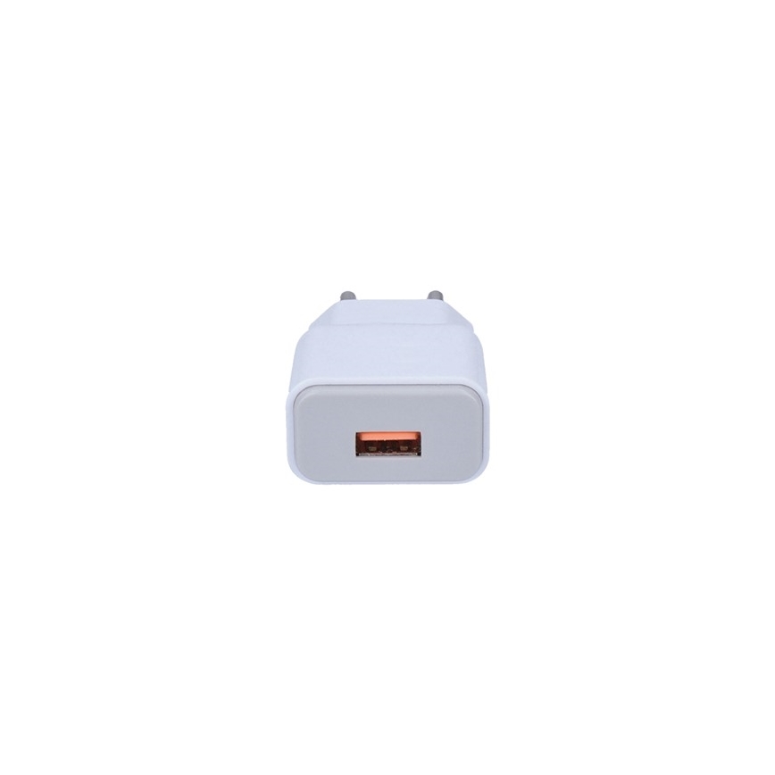 USB įkroviklio adapteris 1xUSB/230V