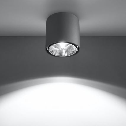 Akcentinis apšvietimas TIUBE 1xGU10-AR111/10W/230V