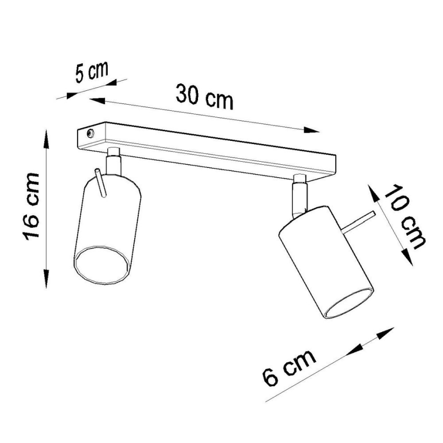 Akcentinis apšvietimas RING 2xGU10/10W/230V