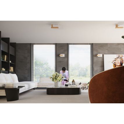 Sieninis šviestuvas LAPPO 1xE14/10W/230V smėlinis