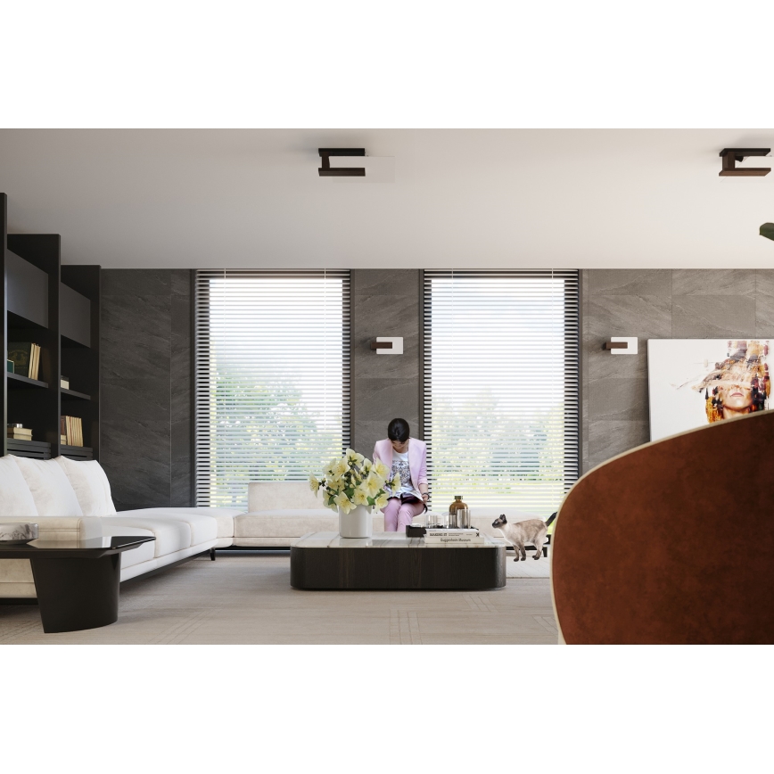 Lubinis šviestuvas LAPPO 2xE27/15W/230V wengė