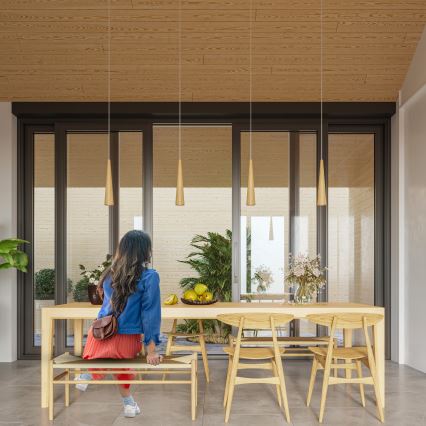 Pakabinamas šviestuvas ant laido SULA 1xGU10/10W/230V, skersmuo 8 cm, smėlio spalvos