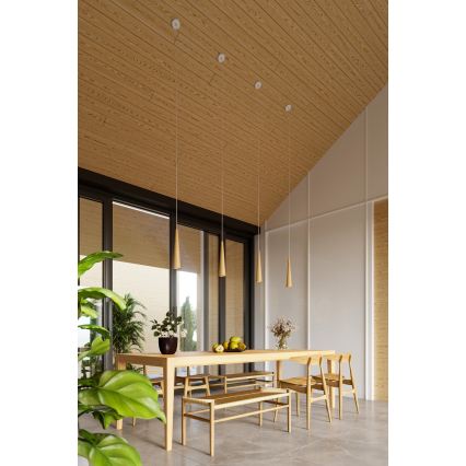 Pakabinamas šviestuvas ant laido SULA 1xGU10/10W/230V, skersmuo 8 cm, smėlio spalvos