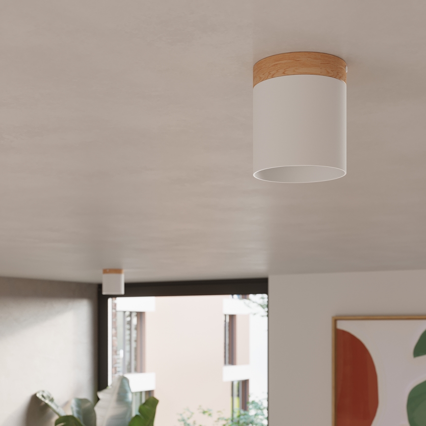 Akcentinis apšvietimas RIF 1xGU10/10W/230V diametras 12 cm balta