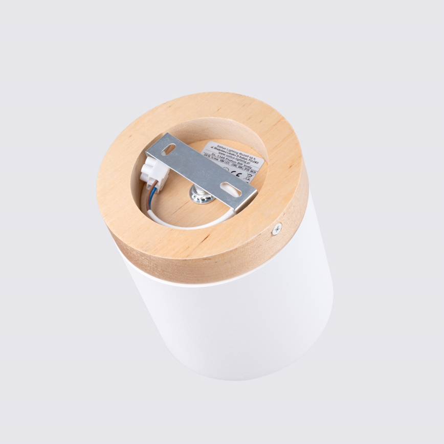 Akcentinis apšvietimas RIF 1xGU10/10W/230V diametras 12 cm balta