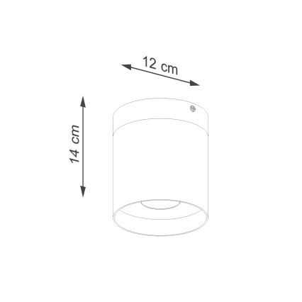 Akcentinis apšvietimas RIF 1xGU10/10W/230V diametras 12 cm balta