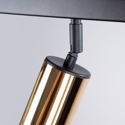 Akcentinis apšvietimas WINX 3xGU10/10W/230V juoda/auksas