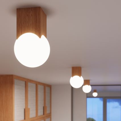 Akcentinis apšvietimas SOLIS 1xG9/8W/230V bukas
