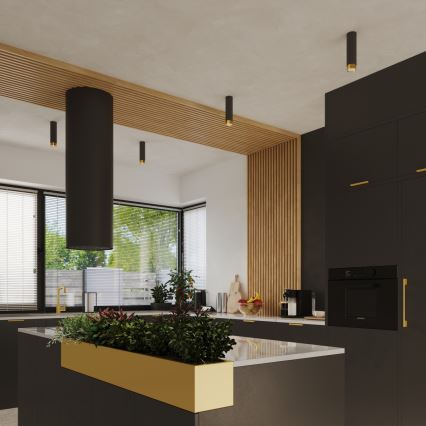 Akcentinis apšvietimas NERO 1xGU10/10W/230V 22,5 cm juoda/auksas