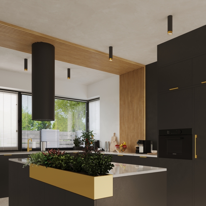 Akcentinis apšvietimas NERO 1xGU10/10W/230V 22,5 cm juoda/auksas