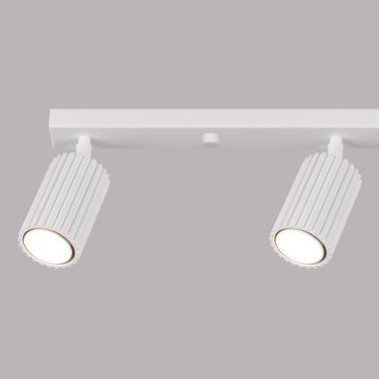 Akcentinis apšvietimas KARBON 4xGU10/10W/230V balta