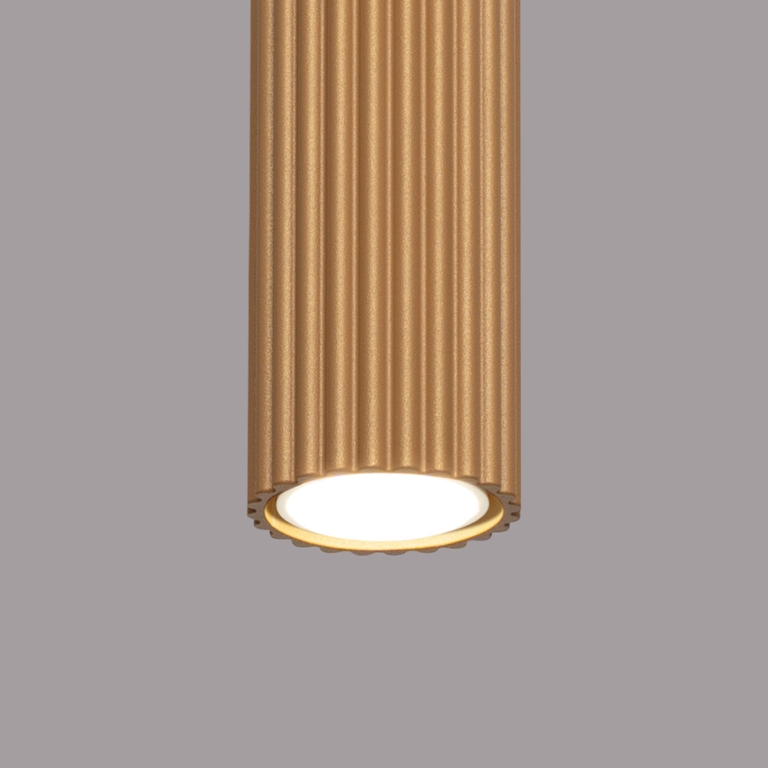 Akcentinis apšvietimas KARBON 1xGU10/10W/230V 20 cm auksas