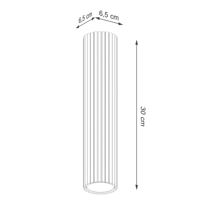 Akcentinis apšvietimas KARBON 1xGU10/10W/230V 30 cm juoda
