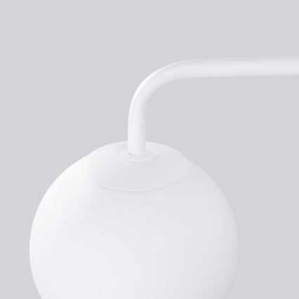 Sieninis šviestuvas ASTRAL 1xG9/8W/230V balta