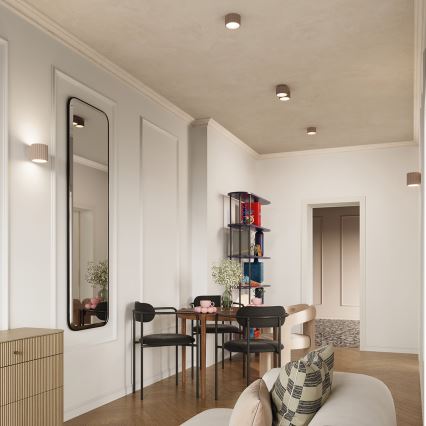 Taškinis šviestuvas AURA 2xGX53/10W/230V pilkšvai rudos spalvos