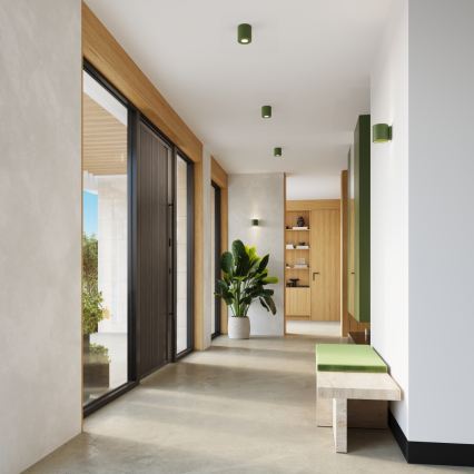 Taškinis šviestuvas ORBIS 1xGU10/10W/230V betonas/žalia